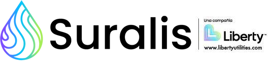 logosuralis